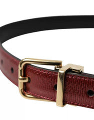 Dolce & Gabbana Maroon Leather Gold Metal Buckle Men Belt - Retail Flare