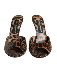 Dolce & Gabbana Brown Leopard Leather Slides Heels Sandals Shoes - Retail Flare