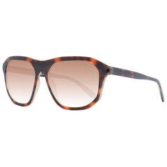 Guess Brown Unisex Sunglasses Guess Retail Flare