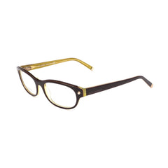 Dsquared² Brown Plastic Frames - Retail Flare