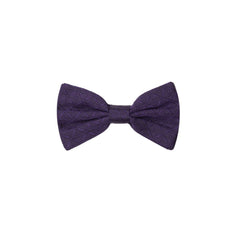Dolce & Gabbana Purple Silk Ties & Bowty Dolce & Gabbana Retail Flare